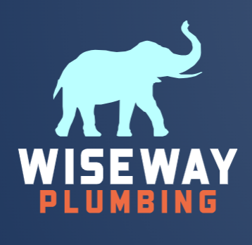 WiseWay Logo