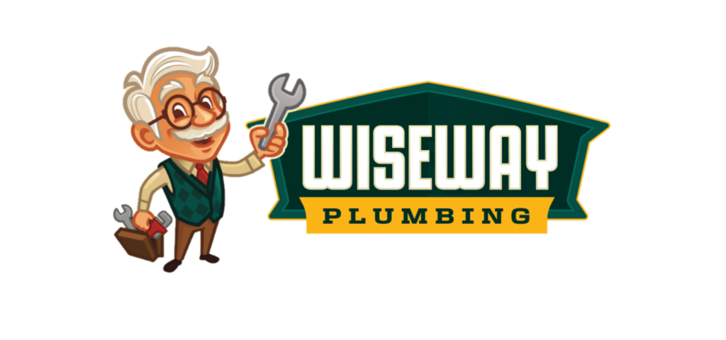 WiseWay Logo