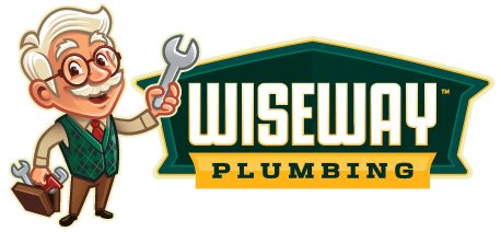 WiseWay Final Render (Footer)
