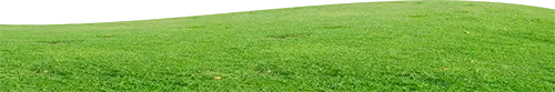 grass background graphic mobile