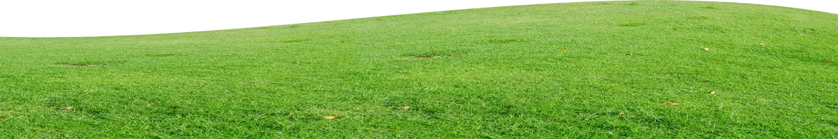 grass background graphic