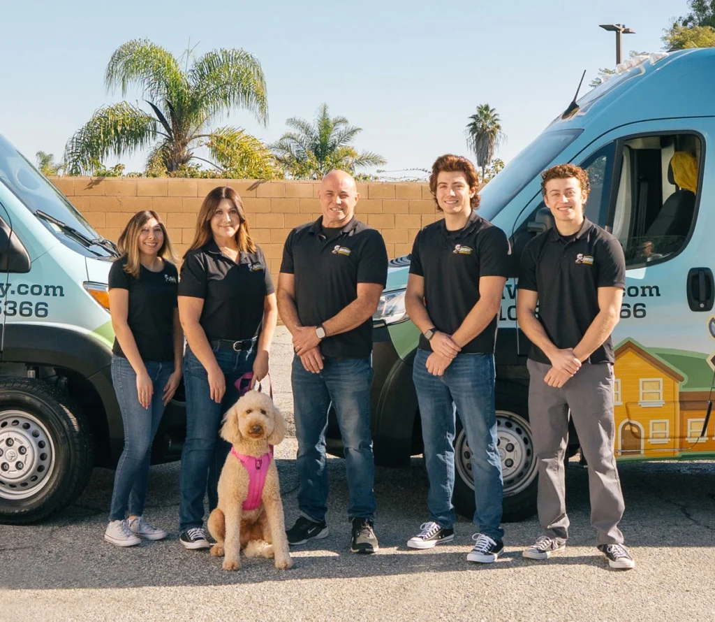 About us 1 Team photo