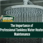 Importance of professional tankless water heater maintenance