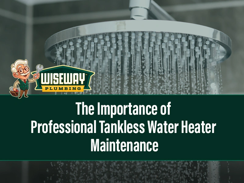 The Importance of Professional Tankless Water Heater Maintenance