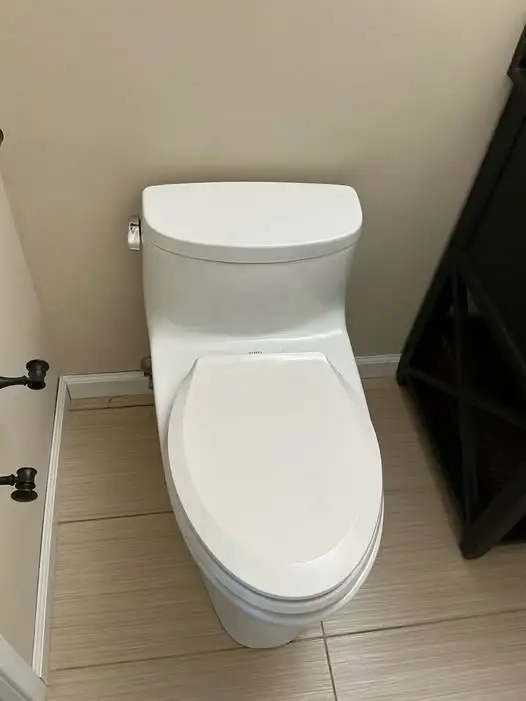 clogged toilet fixed