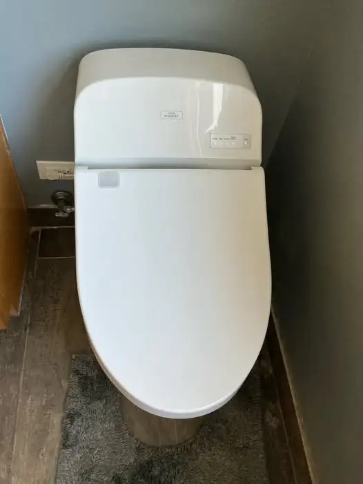 Toto Washlet Water Heater Repair in Rancho Palos Verdes