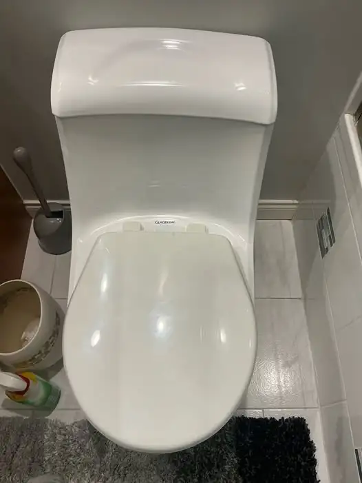 Repair fill valve replaced - hissing toilet