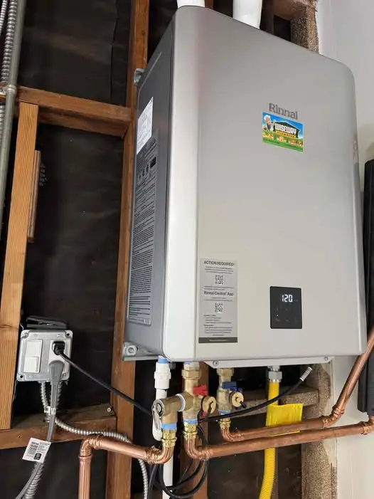 Rinnai Tankless Water Heater and Halo Water System Install in San Pedro
