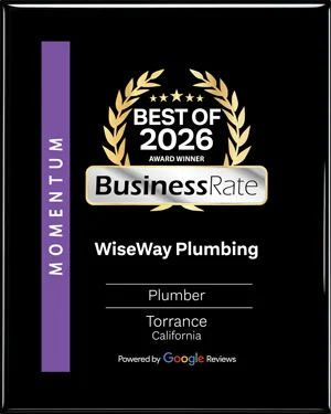 Business Rate award - best plumbers 2026 - wiseway plumbing